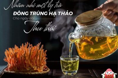 Công dụng và cách chế biến món ăn từ đông trùng hạ thảo tươi