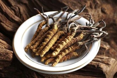 Đông trùng hạ thảo có mấy loại, loại nào tốt nhất?