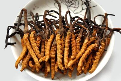 Tai sao giá đông trùng hạ thảo có loại lên tới hàng ngàn USD