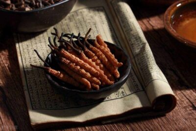 Thời điểm tốt nhất sử dụng đông trùng hạ thảo có thể bạn chưa biết