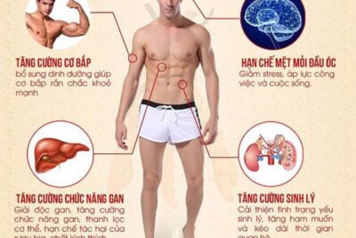 10 tác dụng của đông trùng hạ thảo với sức khỏe