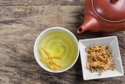 Cách dùng đông trùng hạ thảo tươi và khô mang lại lợi ích sức khỏe