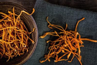 Đông trùng hạ thảo càng có lợi hơn cho những ai?