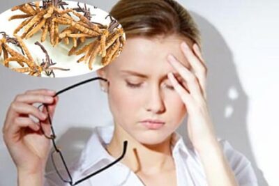 Lợi ích của đông trùng hạ thảo với người rối loạn tiền đình