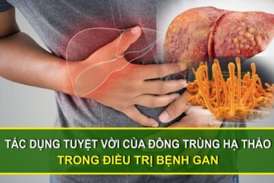 Lợi ích sức khỏe của đông trùng hạ thảo với người bị viêm gan B
