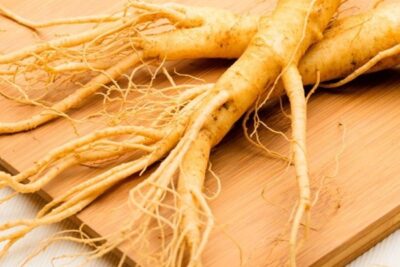 Lưu ý cho người sử dụng nhân sâm ngâm cùng đông trùng hạ thảo