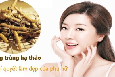 Phụ nữ uống đông trùng hạ thảo có tốt không?