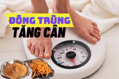 Tăng cân hiệu quả với đông trùng hạ thảo sấy thăng hoa