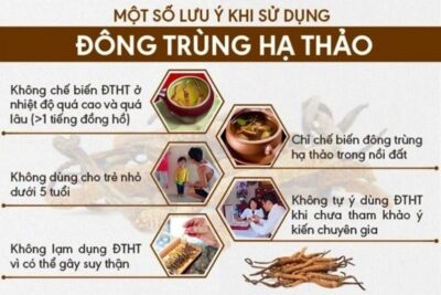 Thời điểm không nên uống đông trùng hạ thảo