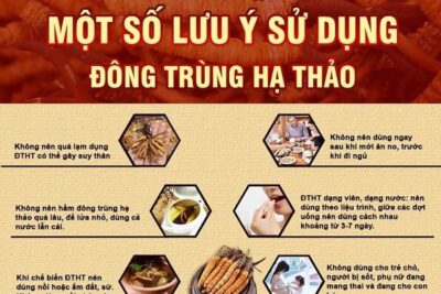 Uống đông trùng hạ thảo bao lâu thì có tác dụng?