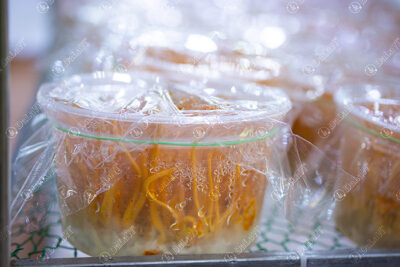 Địa chỉ mua nấm đông trùng hạ thảo chất lượng