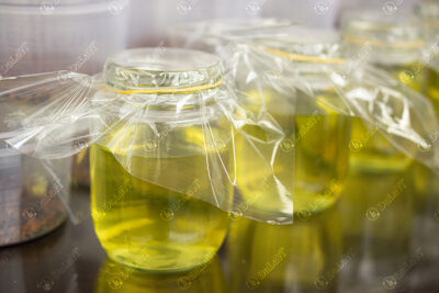 Tác dụng, cách dống và lời khuyên uống đông trùng hạ thảo