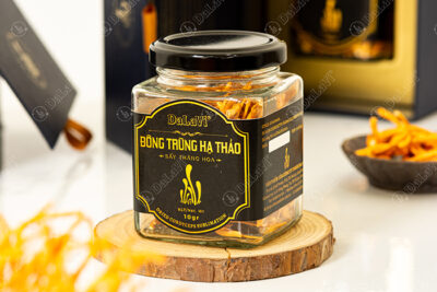 Giá sỉ đông trùng hạ thảo sấy thăng hoa tại DaLaVi
