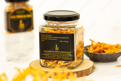 Đông trùng hạ thảo là gì? Tác dụng tuyệt vời và lợi ích cho sức khỏe