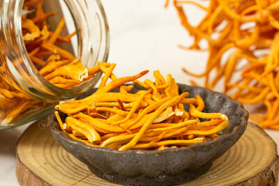 Tặng đông trùng hạ thảo sấy thăng hoa – Trao sức khỏe và hạnh phúc