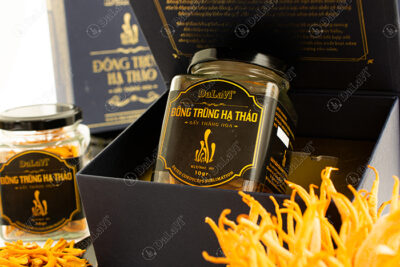 Đông trùng hạ thảo sấy thăng hoa tại TP Hồ Chí Minh