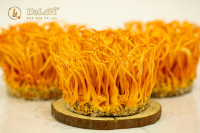 Người mới khỏe sau ốm dùng đông trùng hạ thảo như nào cho tốt?