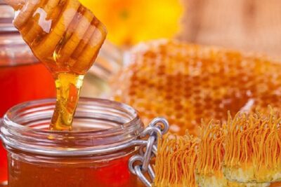 Sử dụng đông trùng hạ thảo hiệu quả bằng những cách sau