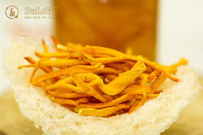 Lợi ích sức khỏe của đông trùng hạ thảo với người bệnh ung thư