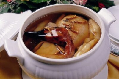 Những vị thuốc và công dụng hỗ trợ của đông trùng hạ thảo