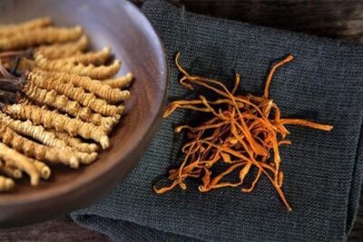 Bí quyết trường thọ: Bổ sung sức khỏe với nhân sâm và đông trùng hạ thảo