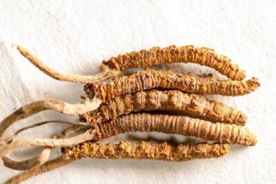 Đông trùng hạ thảo có tác dụng hiệu quả cho những ai?