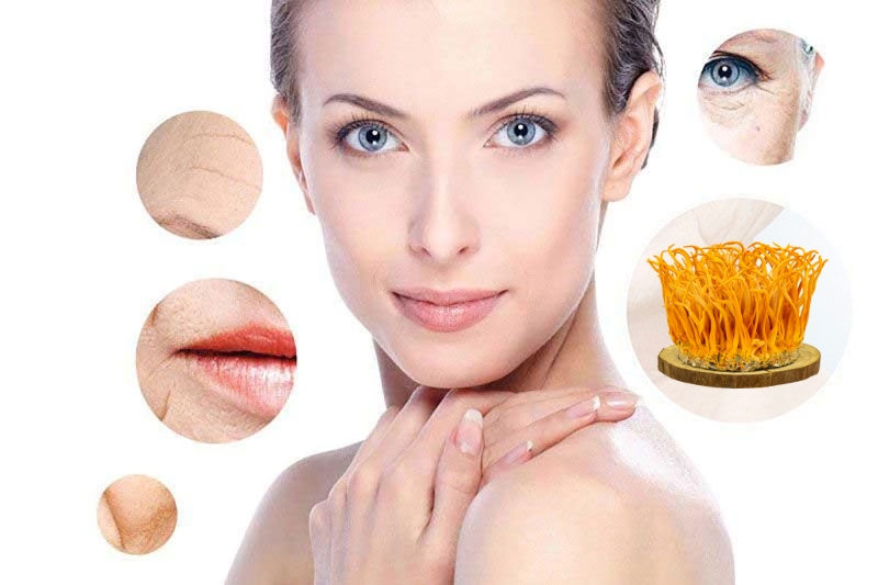 Đông trùng hạ thảo – Bí quyết vàng cho sức khỏe và sắc đẹp của phụ nữ