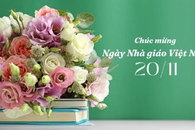 Tặng 20/11 cho sức khoẻ thầy cô – Quà tặng ý nghĩa từ đông trùng hạ thảo