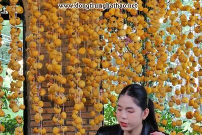 Mua Đông trùng hạ thảo tại Đà Lạt