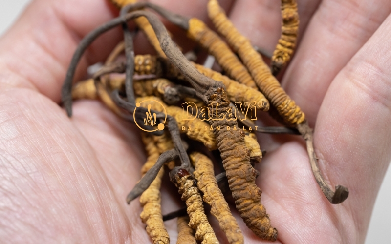 Nấu cháo đông trùng hạ thảo vừa đơn giản lại còn tốt cho cơ thể